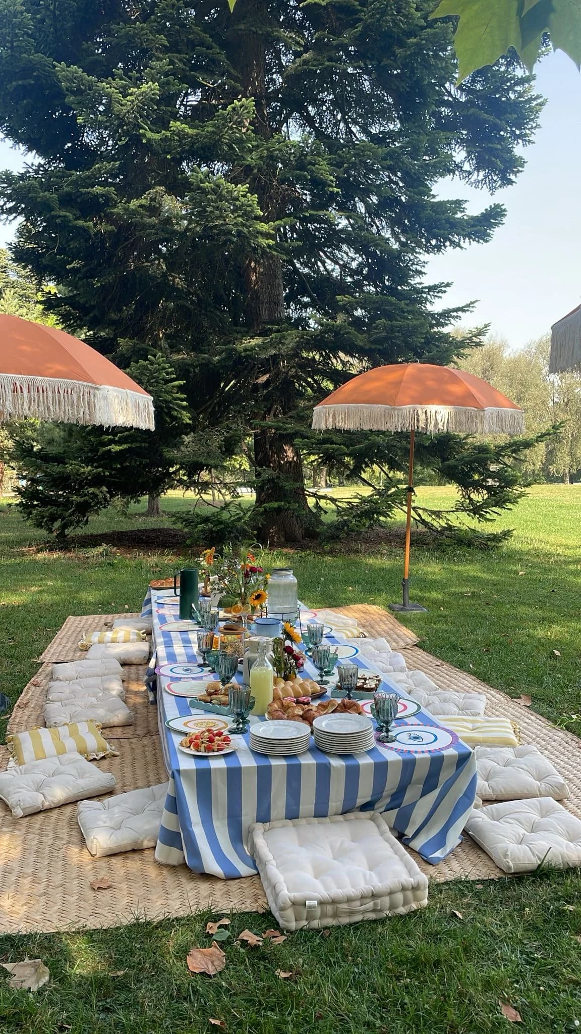 Publication Instagram 5